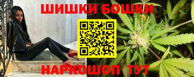 прущие грибы Можга