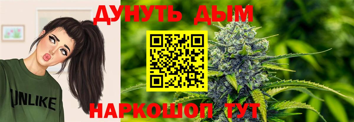 Каннабис сатива Великие Луки